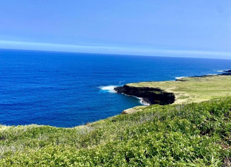 Charming 1 Bedroom Beach Condo Prime Location Great Value Pahala Exteriör bild