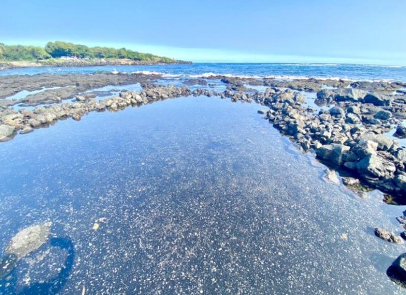 Charming 1 Bedroom Beach Condo Prime Location Great Value Pahala Exteriör bild