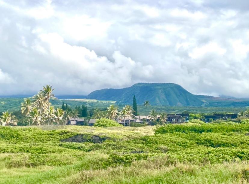 Charming 1 Bedroom Beach Condo Prime Location Great Value Pahala Exteriör bild